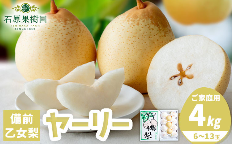 
                  【2026年度先行予約】【家庭用】梨 なし ナシ ヤーリー 鴨梨 備前乙女梨 4kg 6～13玉《2026年11月中旬-12月下旬頃より発送予定》石原果樹園 岡山県 浅口市 果物 フルーツ 新鮮 訳あり
                
