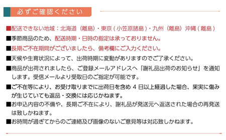 【先行予約】愛媛県西条市産 レインボーレッドキウイと紅まどんなのセット　11月下旬～12月下旬頃発送｜ 紅まどんな 柑橘 愛媛 レインボーレッド キウイ