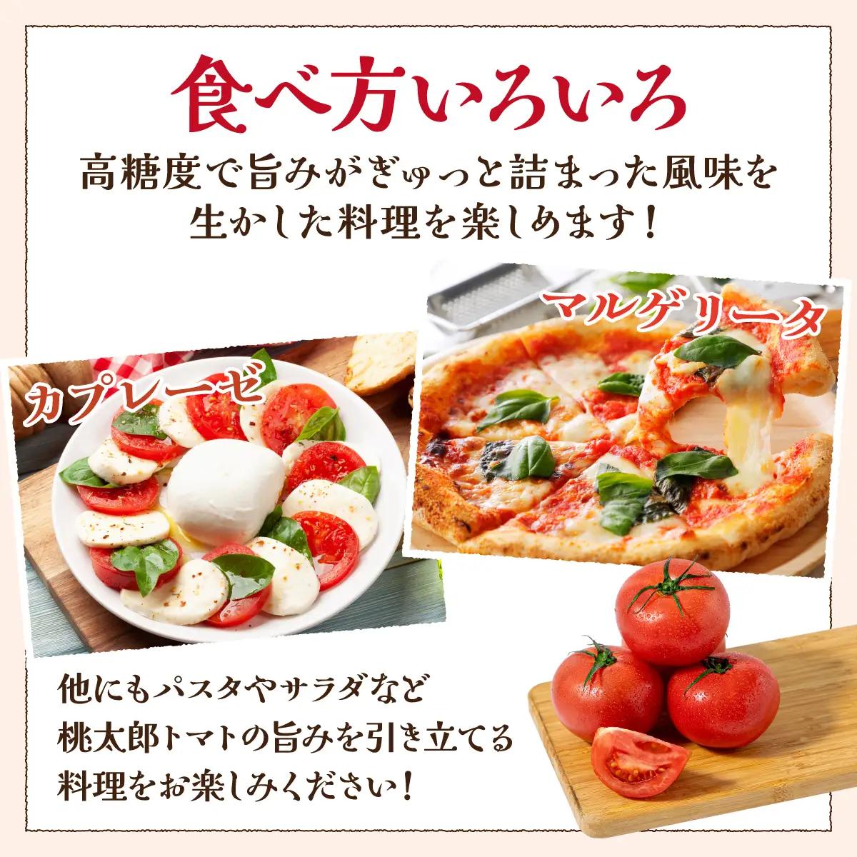 【先行予約】桃太郎トマト　3.5kg～4kg　2L(20玉)～L(24玉)