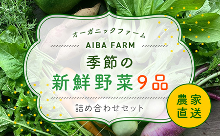 農家直送！【栽培期間中農薬不使用】季節の新鮮野菜「９品」詰め合わせセット オーガニックファーム AIBA FARM TML001 / 野菜セット 無農薬 野菜 千葉県 富里市 直送野菜 お野菜セット 