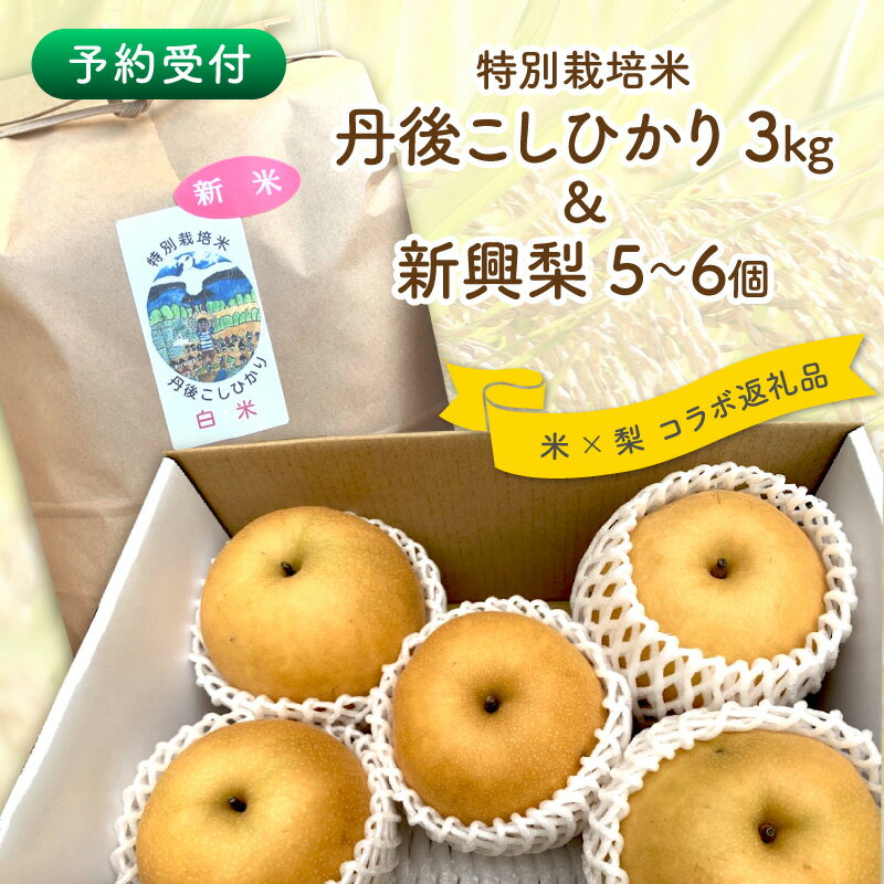 【ふるさと納税】【2026年予約受付】特別栽培米丹後こしひかり3kg＆新興梨5～6個（2026年10月上旬～発送） 国産 コラボ 米 コメ 果物 フルーツ 新興梨 梨 ナシ セット 詰め合わせ 先行予約 生産者応援 農家応援 期間限定