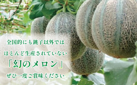 幻のメロン！銚子アムスメロン（4玉入り 6kg） 果物 ﾌﾙｰﾂ ｾﾞﾘｰ ｹｰｷ ﾌﾙｰﾂｻﾝﾄﾞ ｼﾞｭｰｽ ｱｲｽ 千葉県 銚子市                                