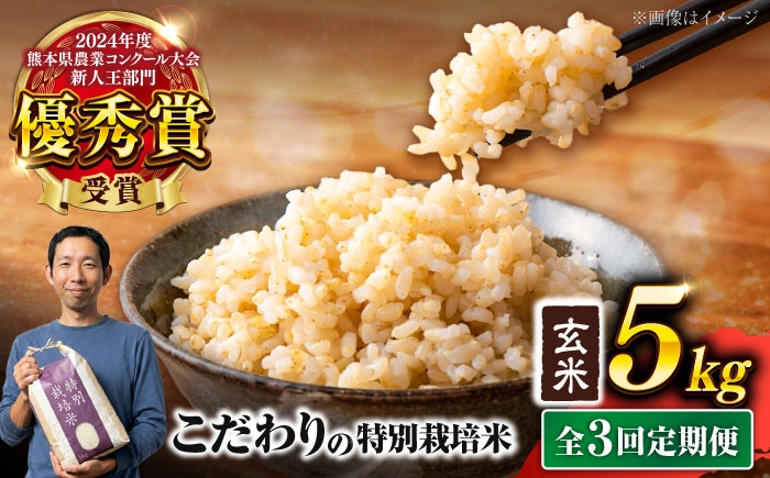 
                   【令和7年度】 【全3回定期便】 くまさんの輝き 玄米 5kg 計15kg　米 こめ コメ お米 げんまい【坂本農園】 [AYCC023]
                