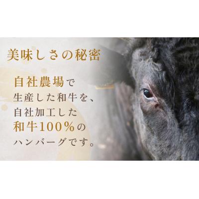 ふるさと納税 石巻市 黒毛和牛 三陸金華和牛 南部の赤牛 伊達の赤 和牛ハンバーグ 3種各200g×5 食べ比べ セット |  | 01
