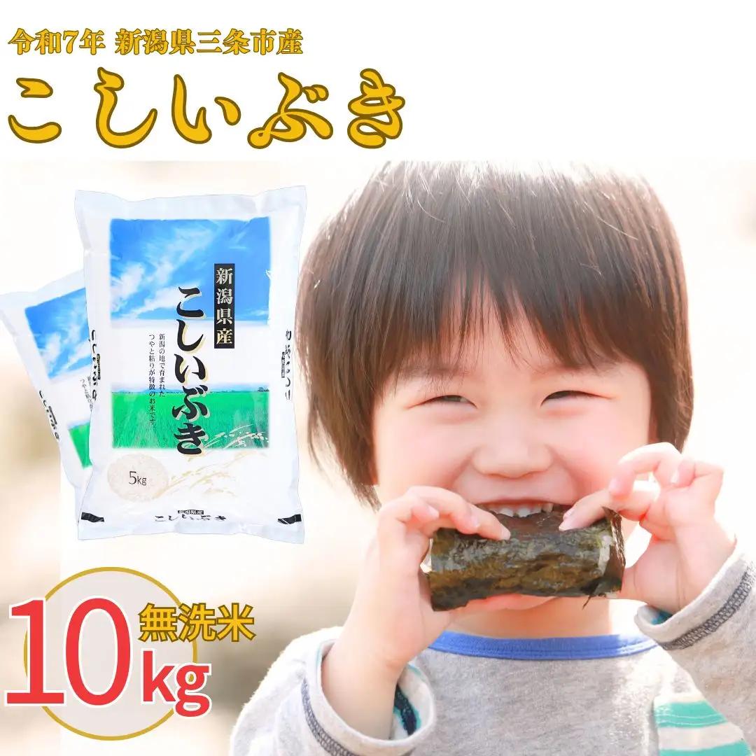 無洗米 こしいぶき10kg 令和7年産 新潟県 白熊