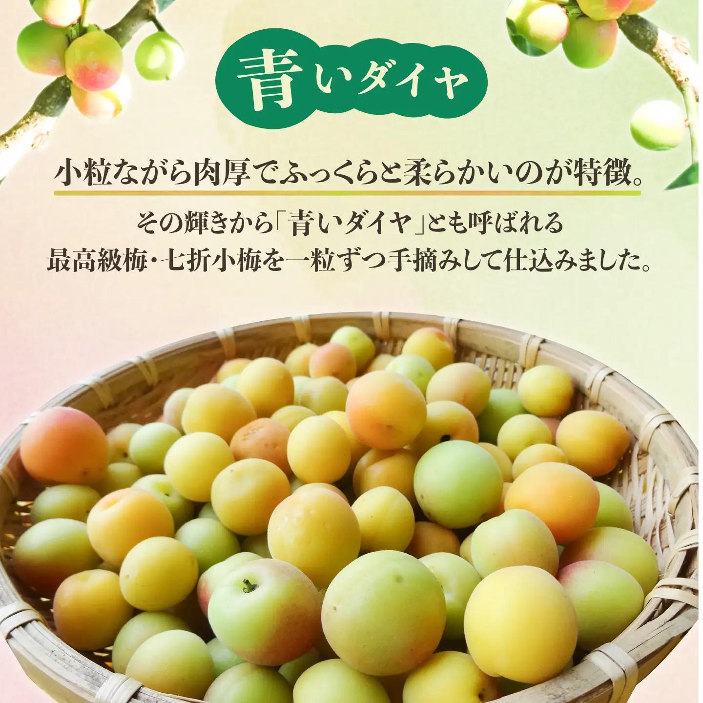 【お中元対象】梅シロップ 七折小梅の梅シロップ 500ml×2本 梅シロップ BJAG001