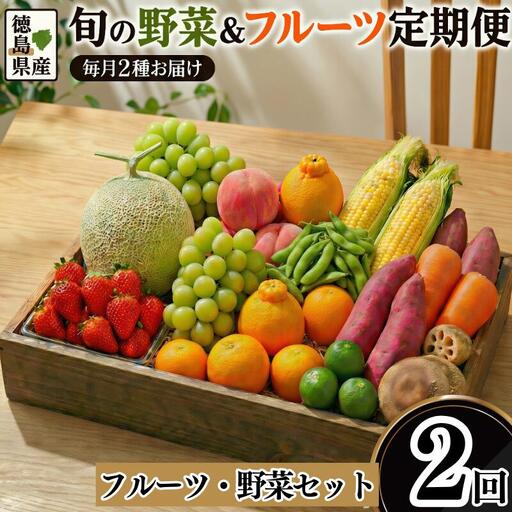 フルーツ 野菜 定期便 2回 定期