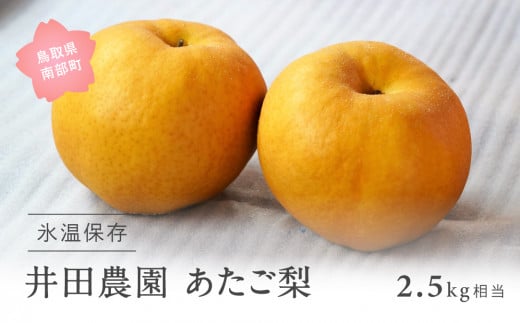 【ID04_02】鳥取県南部町産　井田農園のあたご[梨]（2.5kg箱）＜令和8年2月出荷＞
