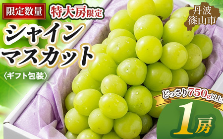 【早期予約限定】シャインマスカット 丹波篠山産 大粒だけ 〈ギフト1房・750g以上〉 シャインマスカット[PAK01]