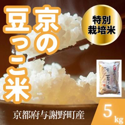 ふるさと納税 与謝野町 【令和7年産米】京都府与謝野町産 丹後コシヒカリ 精米5kg　特別栽培米 京の豆っこ米
