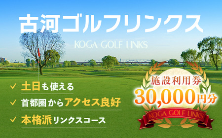 古河ゴルフリンクス 施設利用券 30,000円分（1,000円×30枚） | ゴルフ ごるふ golf ゴルフ場 ゴルフリンクス リンクス プレー 利用券 古河市 _DP19