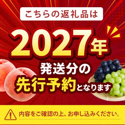 2027年発送先行受付【大玉の王道ハード系 川中島白桃】本場山梨の品種指定キャンペーンお試し約1kg【配送不可地域：離島・北海道・沖縄県・中国・四国・九州】