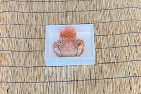 毛かに400g前後～550g前後×1尾・いくら醤油漬け100g×1Pセット C-76035