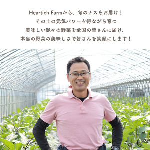 【定期便6回】野菜ソムリエサミット金賞「ごほう美ナス」 約1kg