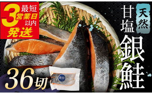 12月発送 銀鮭 3切×12パック 計36切れ 朝ごはんやお弁当に 銀鮭 36切れ 真空保存 甘塩 銀鮭 鮭 しゃけ サケ さけ ご飯のお供 朝食 真空 朝食 お弁当 おかず 小分け 大容量  F4F-2855