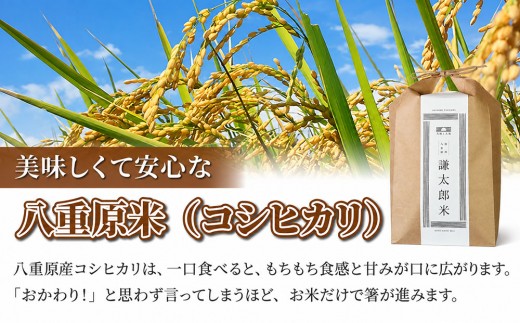 【令和8年産 新米】八重原産コシヒカリ白米「謙太郎米」5kg ｜特別栽培米（減農薬・減化学肥料栽培）【太陽と大地】