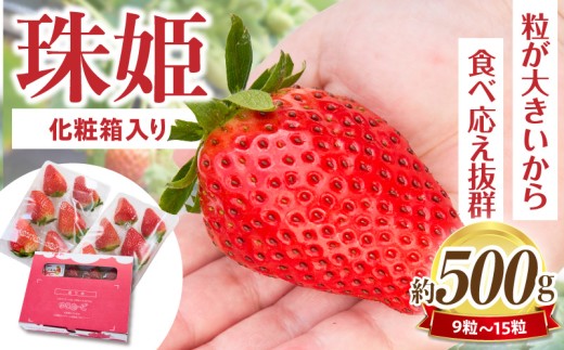 【2027年1月～3月上旬発送】化粧箱入りいちご【珠姫】 酸味が少なくやさしい甘み 珠姫 いちご 2パック 9~15粒 化粧箱 卵型 粒が大きい 生駒いちご園 果物 フルーツ デザート 贈り物 お取り寄せ お取り寄せフルーツ 奈良県 生駒市 送料無料