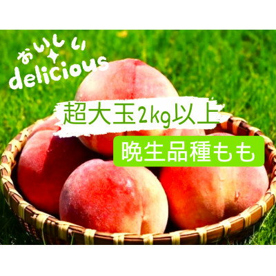 【ふるさと納税】晩生品種3～6玉入り農家直送　2kg以上【配送不可地域：離島】【1178180】