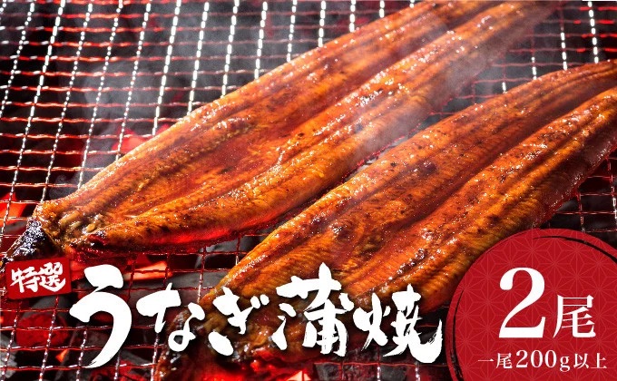 ＜2026年6月配送＞うなぎ蒲焼き 400g (200g×2尾) 冷蔵