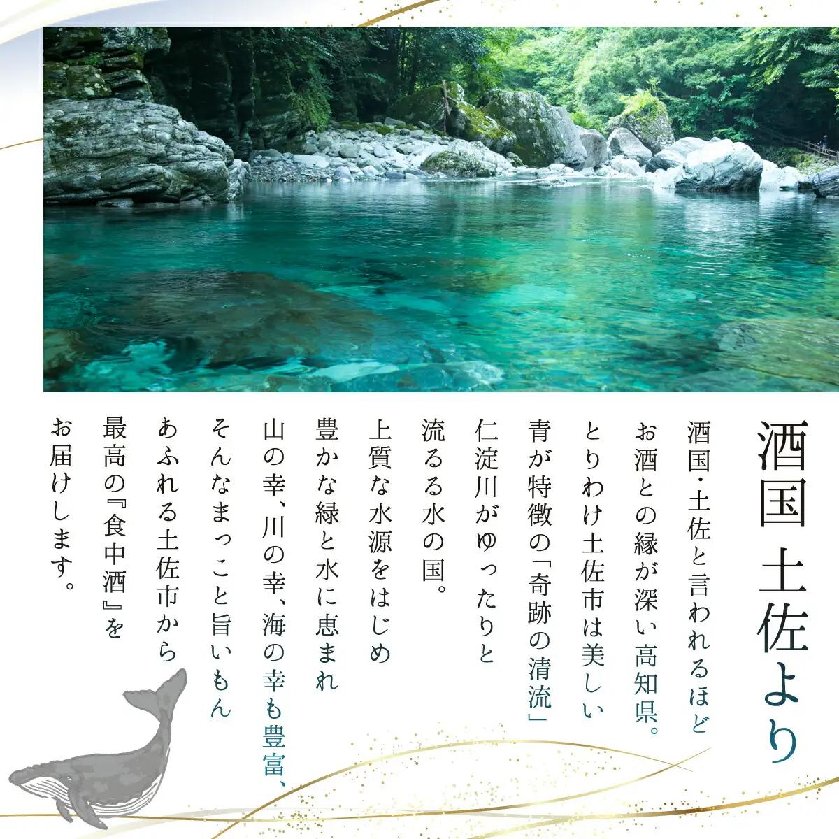 酔鯨 純米大吟醸 丞（Joh）720ml×1本 高知県土佐市 【株式会社とさもん】 [BQAE080]
