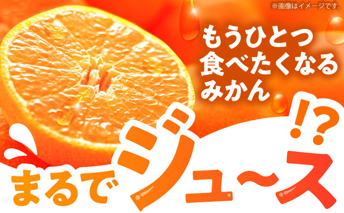 ※【2026年11月より順次発送／先行予約】力温州早生みかん10kg(ご家庭用、箱入り) / みかん 温州みかん 柑橘 蜜柑 ミカン 果物 / 諫早市 / 末永果樹園 [AHBD002]