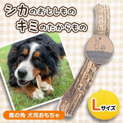 ふるさと納税 遠軽町 「シカのおとしもの　キミのたからもの」 Lサイズ 鹿の角 犬用おもちゃ 1個