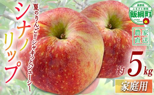 りんご シナノリップ 家庭用 5kg 渡辺農園 沖縄県への配送不可 2026年8月中旬頃から2026年8月下旬頃まで順次発送予定 令和8年度収穫分 エコファーマー認定 減農薬栽培 長野県 飯綱町 [0802]