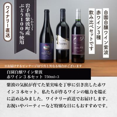 ふるさと納税 紫波町 自園自醸ワイン紫波 赤ワイン3本セット【マスカットベーリーA樽熟成・プレミアムメルロー・メルロー】 |  | 03