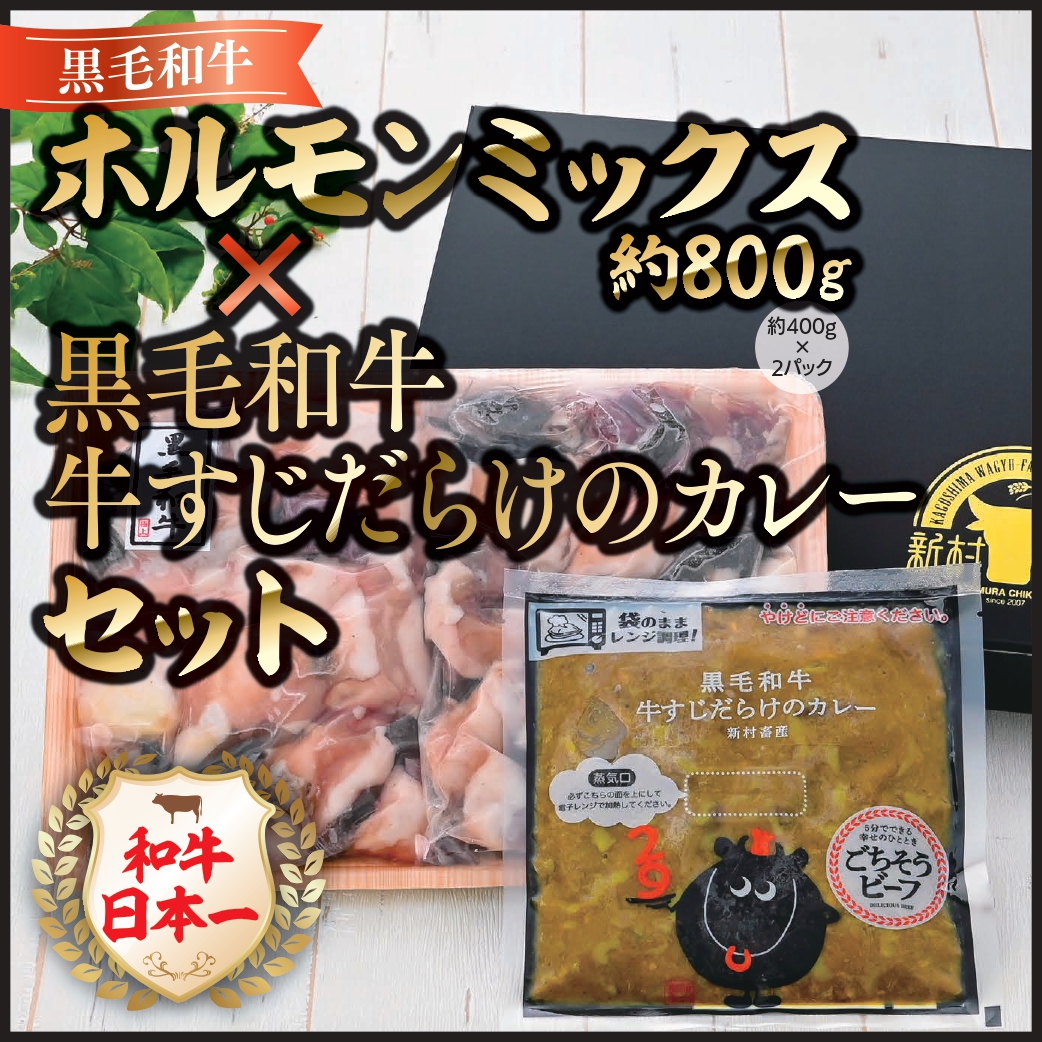 【A91031】黒毛和牛のホルモンミックス<約800g>+黒毛和牛牛すじだらけのカレーセット_イメージ1