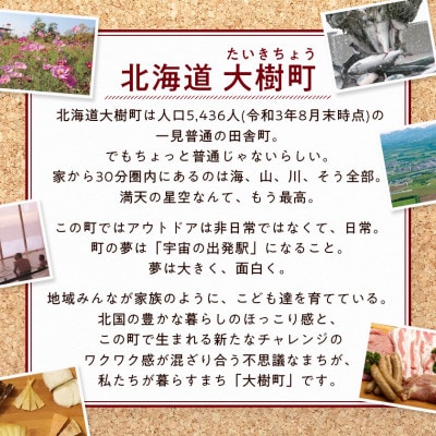 雪印北海道 36袋 「さけるチーズプレーン」12袋×3箱【配送不可地域：離島】【1538328】