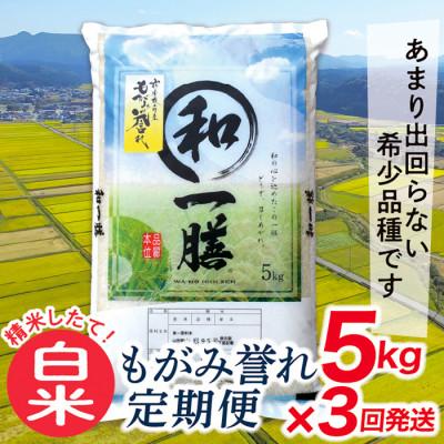 ふるさと納税 最上町 【毎月定期便】買い忘れなしで美味しいもがみ誉れ5kg(白米)が届く全3回