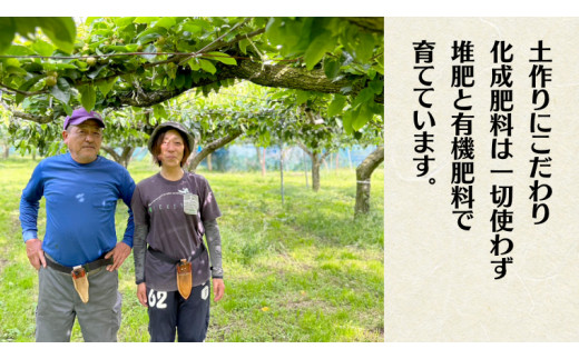 豊水 約 5kg 7玉～14玉 (茨城県共通返礼品 かすみがうら市) 産地直送 久保田果樹園 フルーツ 甘い 直送 茨城 [DH002sa]