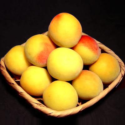 ふるさと納税 上富田町 厳選南高梅 フレッシュ青梅(生梅)【完熟】5kg 特大サイズ 朝取り手選別 黄色 南高梅 梅干用 |  | 03