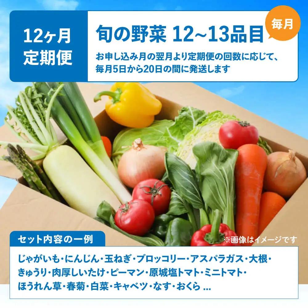 【12回定期便】野菜セット 12から13品目 野菜定期便[SGG001]