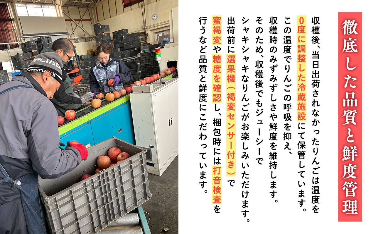 2025年産 3月発送　【訳あり】家庭用美丘3kg【青森県 平川市 そと川りんご園】３月発送 家庭用 りんご リンゴ 林檎 くだもの 果物 詰め合わせ 旬 フルーツ ３月  青森県産 青森 