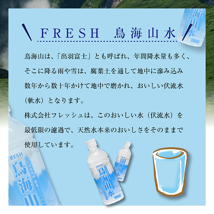 SE0009　鳥海山水　500ml×24本入り　4ケース