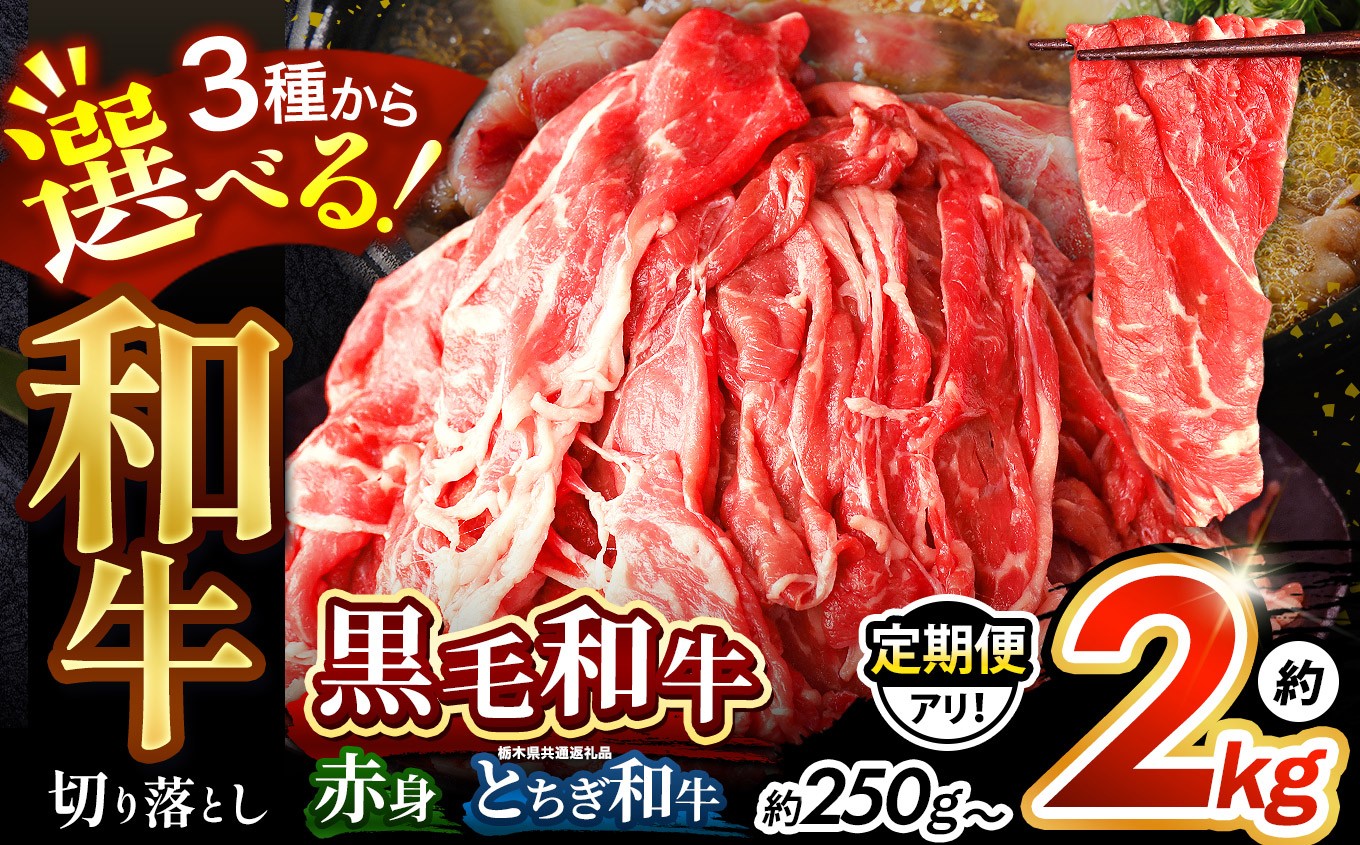 
                  【訳あり】黒毛和牛 切り落とし とちぎ和牛 赤身 ロース スライス 栃木県産 牛肉  肉の逸品 人気急上昇！｜選べる 定期便 1回 3回 6回 12回 お取り寄せ ギフト すき焼き しゃぶしゃぶ 焼肉用 500g 1kg 2kg | 牛丼 すき焼き 特産品 ご家庭向け 人気 安い プレゼント 贈答用 お買い得 数量限定
                