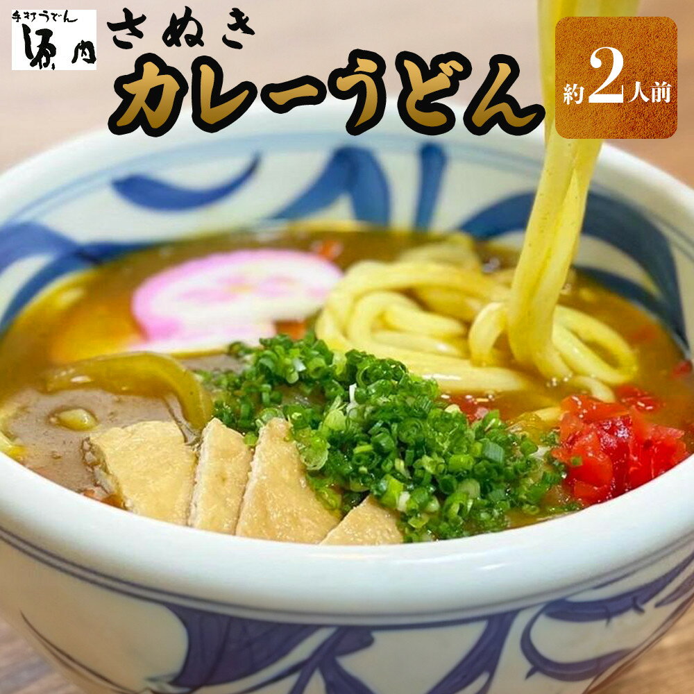 【ふるさと納税】さぬきうどん (2人前）カレーうどん 源内うどん 讃岐うどん うどん 半生うどん きつねうどん