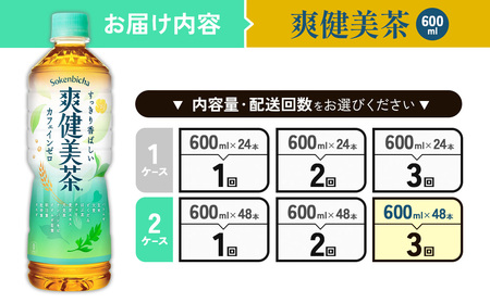 （3回定期便）爽健美茶 600ml PET【コカ・コーラ】ペットボトル 2ケース(48本) 定期便 3回(144本) セット お茶 カフェインゼロ ノンカフェイン ハトムギ ブレンド茶 宮崎県 えびの