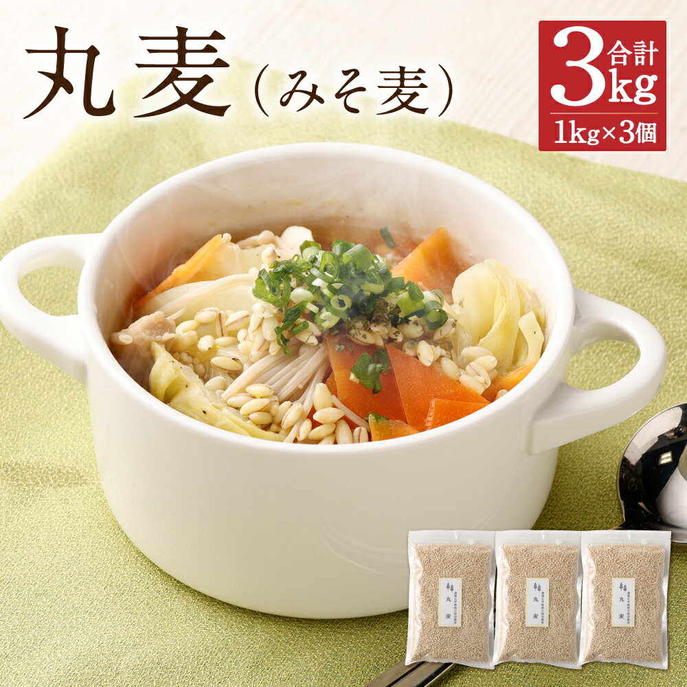 【ふるさと納税】丸麦 1kg×3個 合計3kg 麦 みそ麦 味噌 食物繊維 栽培期間中農薬不使用 九州産 福岡県産 国産 送料無料