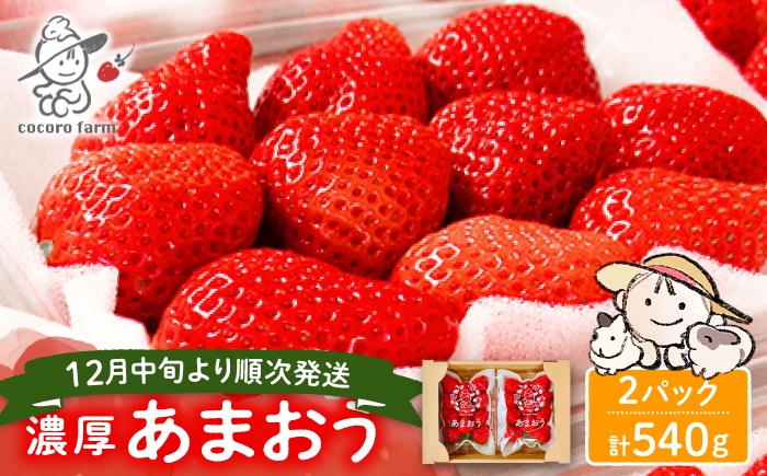 
                  【先行予約】あまおう いちご 540g（270g×2パック）ココロファームの濃厚あまおう 【2026年12月中旬～翌4月上旬発送】《豊前市》【ココロファーム】[VAE010] 果物 苺 イチゴ あまおう アマオウ 福岡 フルーツ いちご 先行予約
                