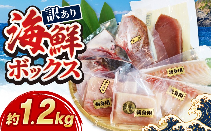 
                  【 訳あり 】 海鮮ボックス 1.2kg 選べる回数 ( おまかせセット ) 海鮮 魚介類 魚介 魚 鮮魚 冷凍 まぐろ マグロ 鯛 かんぱち 勘八 シマアジ ヒラマサ 刺身 刺し身 お刺身 小分け 国産 おすすめ 人気 海の幸 ふるさと納税海鮮 【 城水産 】[ 三重県南伊勢町 三重県 南伊勢 伊勢 志摩 ] 
                