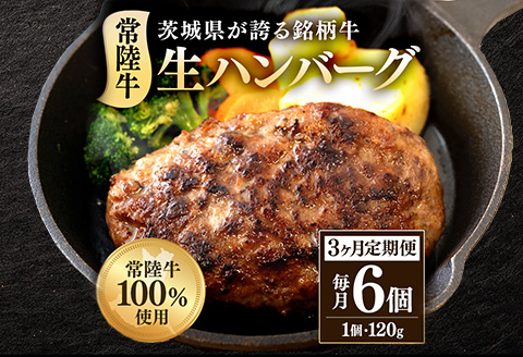 生ハンバーグ120g×6個 常陸牛 100％ 【3ヶ月連続お届け】 513
