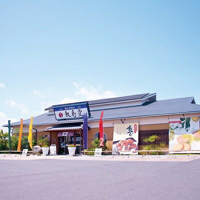 【ふるさと納税】敷島堂　お菓子券　9，000円相当分（500円券×18枚） 地域のお買い物券 チケット