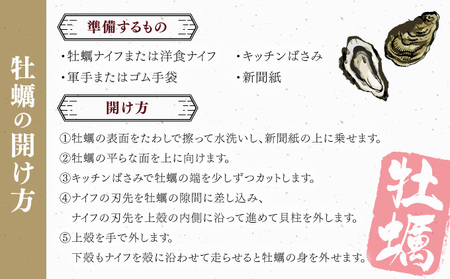 【国産】殻付き牡蠣 旅する牡蠣 プレミアムオイスター 室津 8～10個入り 室戸海洋深層水 生食用 生食 生ガキ 生食用カキ カキ 牡蠣 かき 魚貝類 冷蔵 先行予約 10000円 1万円 送料無料 