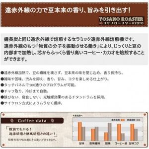 【毎月定期便】コーヒー豆　コロンビア マグダレナ 200g×2袋　こだわり遠赤外線焙煎全3回【配送不可地域：離島】【4063247】