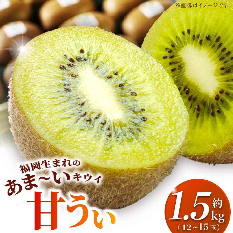 【2026年10月以降お届け】甘うぃ1.5kg箱_甘い キウイ 甘うぃ キウイフルーツ 1.5kg 国産 甘みの強い 果実 黄色味 福岡 オリジナル品種 濃厚 まろやか 高糖度 フルーツ 果物 ヨーグルト スムージー ジュース デザート 福岡県 久留米市 お取り寄せ お取り寄せフルーツ 送料無料_Fx019