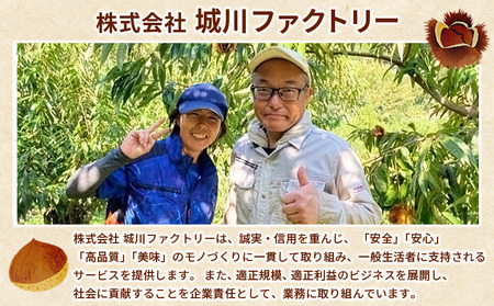 ＜生栗 2Lサイズ（約3kg）＞甘い 栗 マロン くり 和栗 栗ごはん モンブラン 栗きんとん 栗まんじゅう 甘露煮 スイーツ ケーキ 洋菓子 和菓子 お菓子 秋 味覚 産地直送 城川ファクトリー 愛