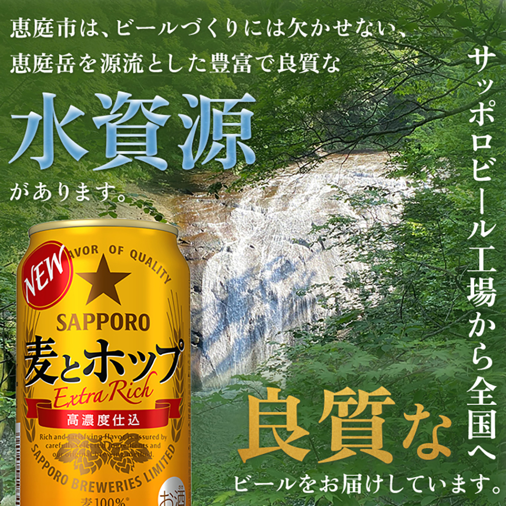 『定期便：全3回』麦とホップ350ml×24本【300083】