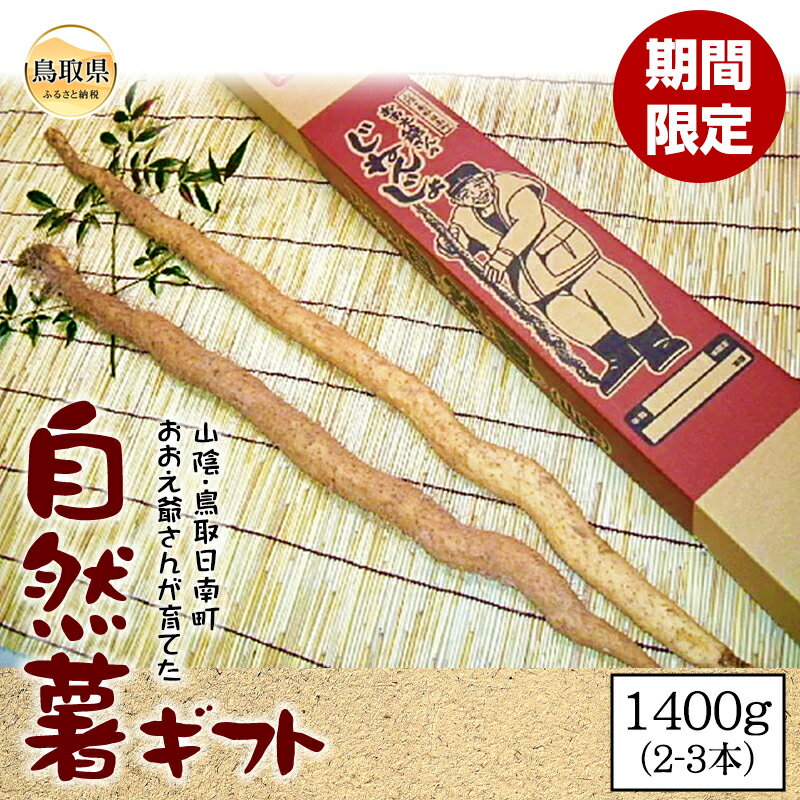 【ふるさと納税】B24-092 自然薯ギフト【期間限定】